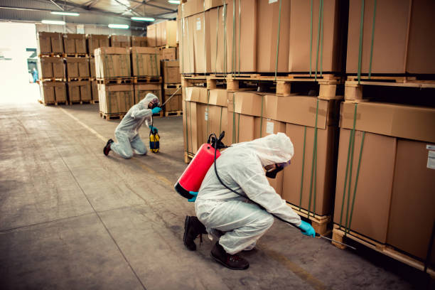 Best Wildlife Control Services  in Montgomery, MN