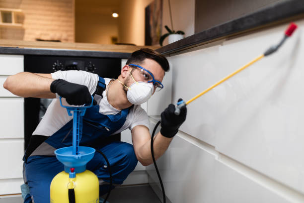 Wasp Removal Services in Montgomery, MN