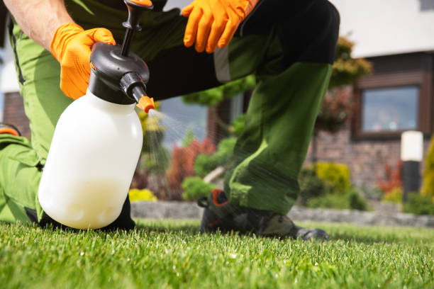 Best Insect Control  in Montgomery, MN
