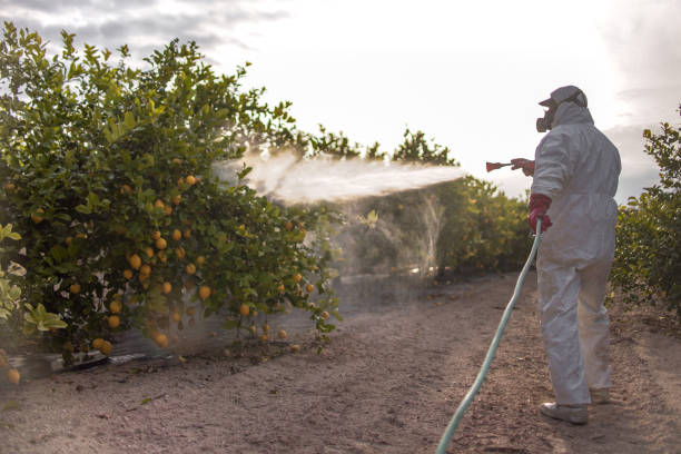 Best Exterminator Services  in Montgomery, MN