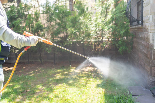 Best Cockroach Control Services  in Montgomery, MN