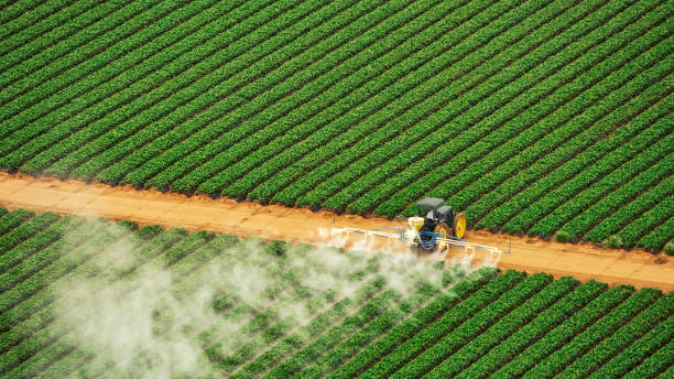 Best Commercial Pest Control Services  in Montgomery, MN
