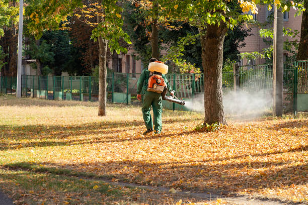 Insect Control in Montgomery, MN