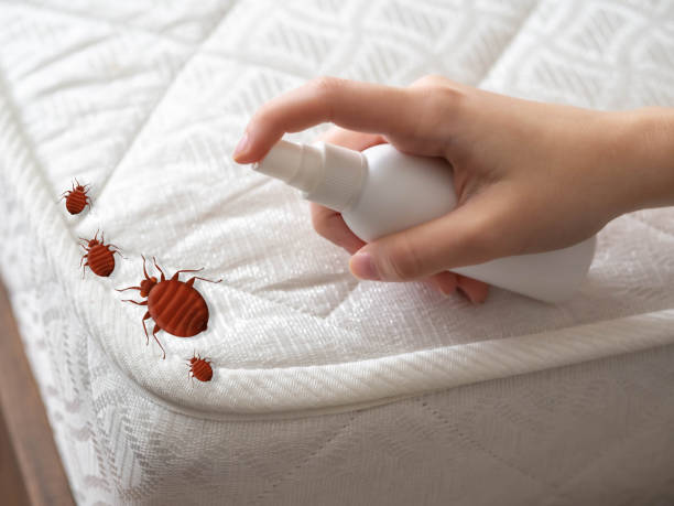Montgomery, MN Pest Control Company