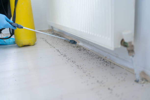 Best Pest Control for Restaurants  in Montgomery, MN