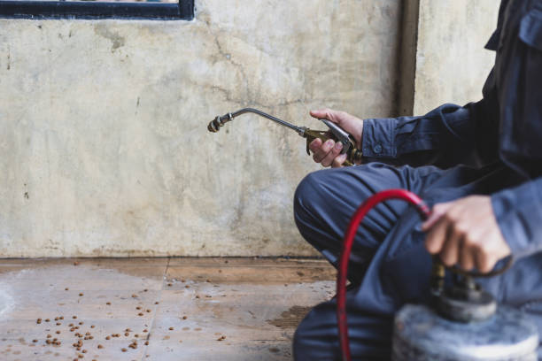 Best Rat Extermination Near Me  in Montgomery, MN