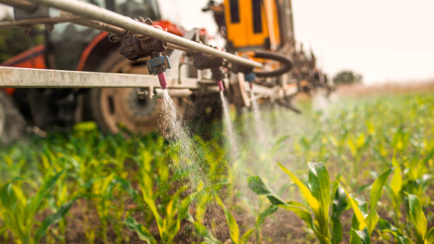 Best Pest Removal Services  in Montgomery, MN